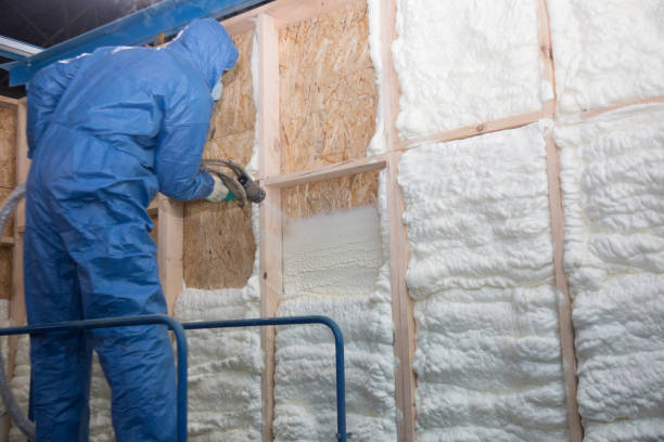 Best Wall Insulation Installation in Sherrill, NY